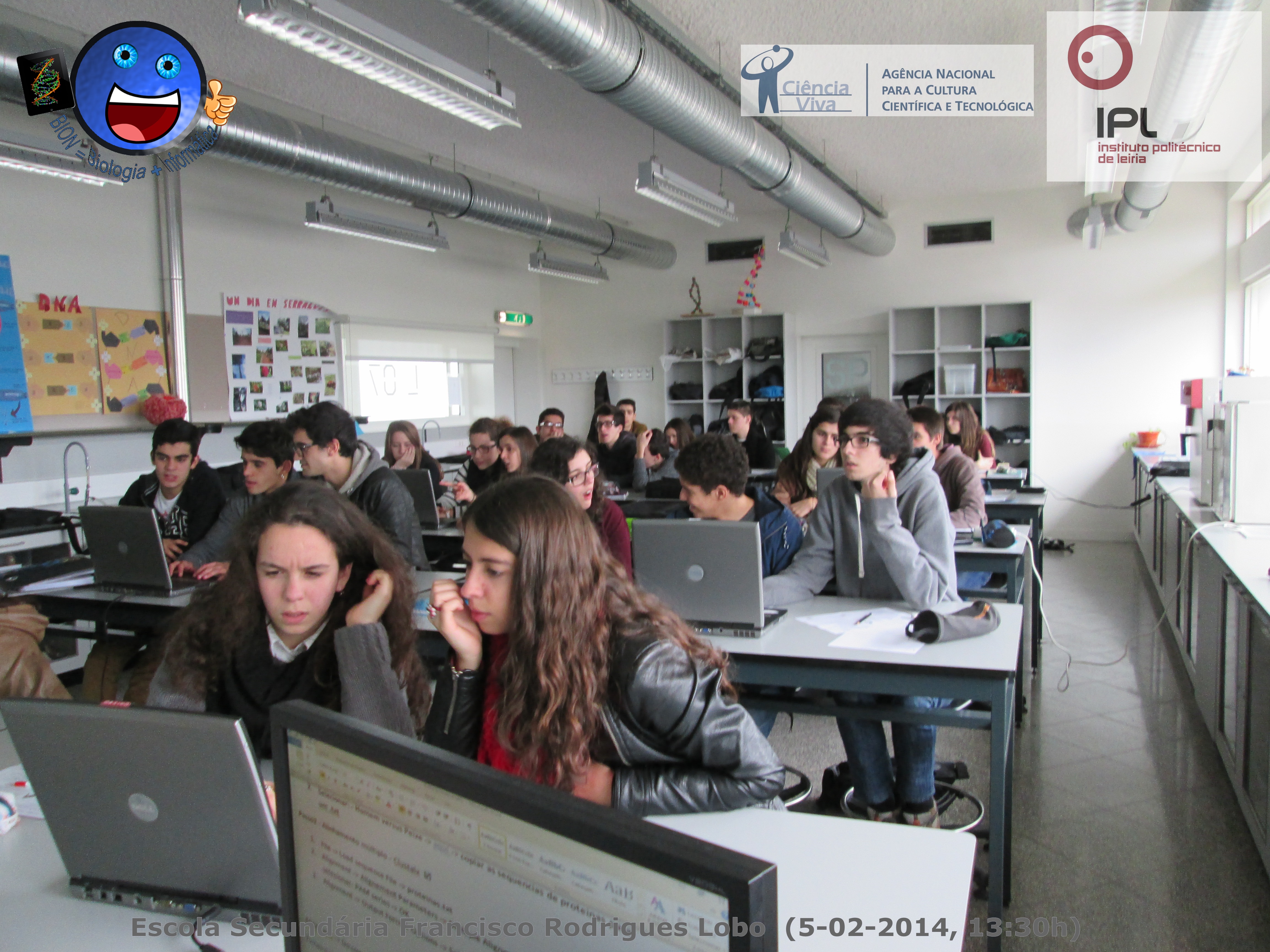 11º B - Atividade 5 "Homem versus Peixe"