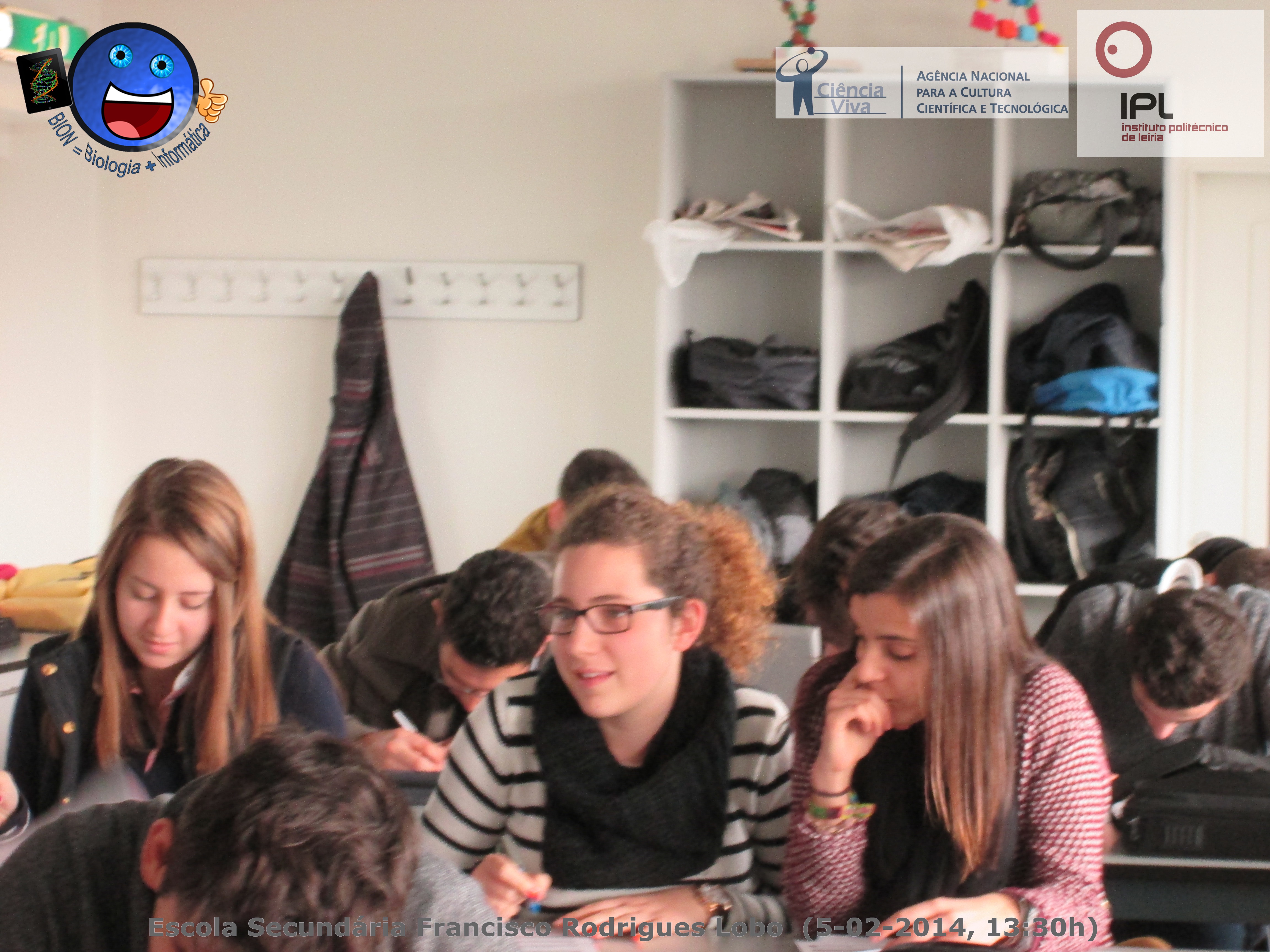 11º B - Atividade 5 "Homem versus Peixe"