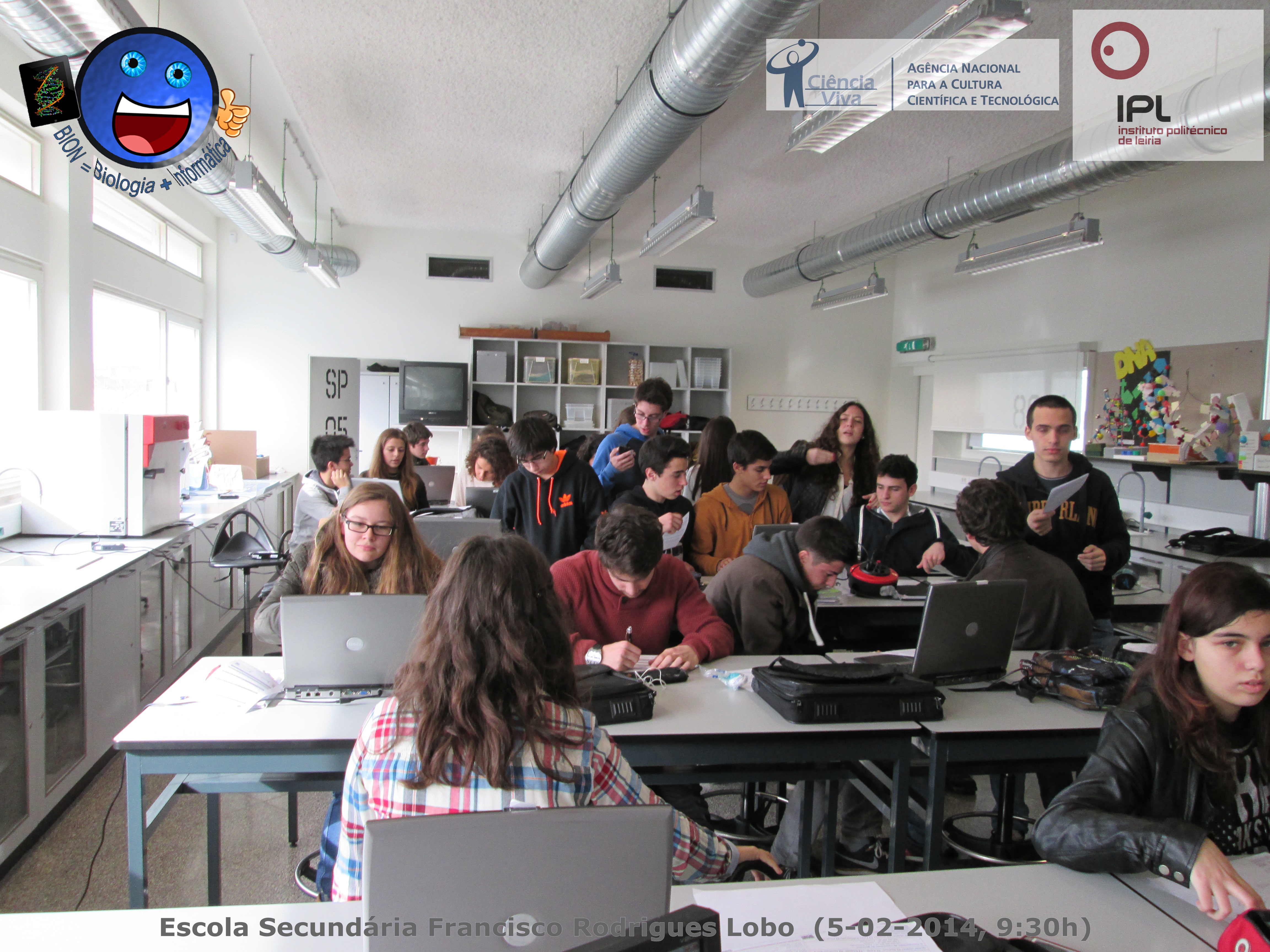 11º C - Atividade 5 "Homem versus Peixe"
